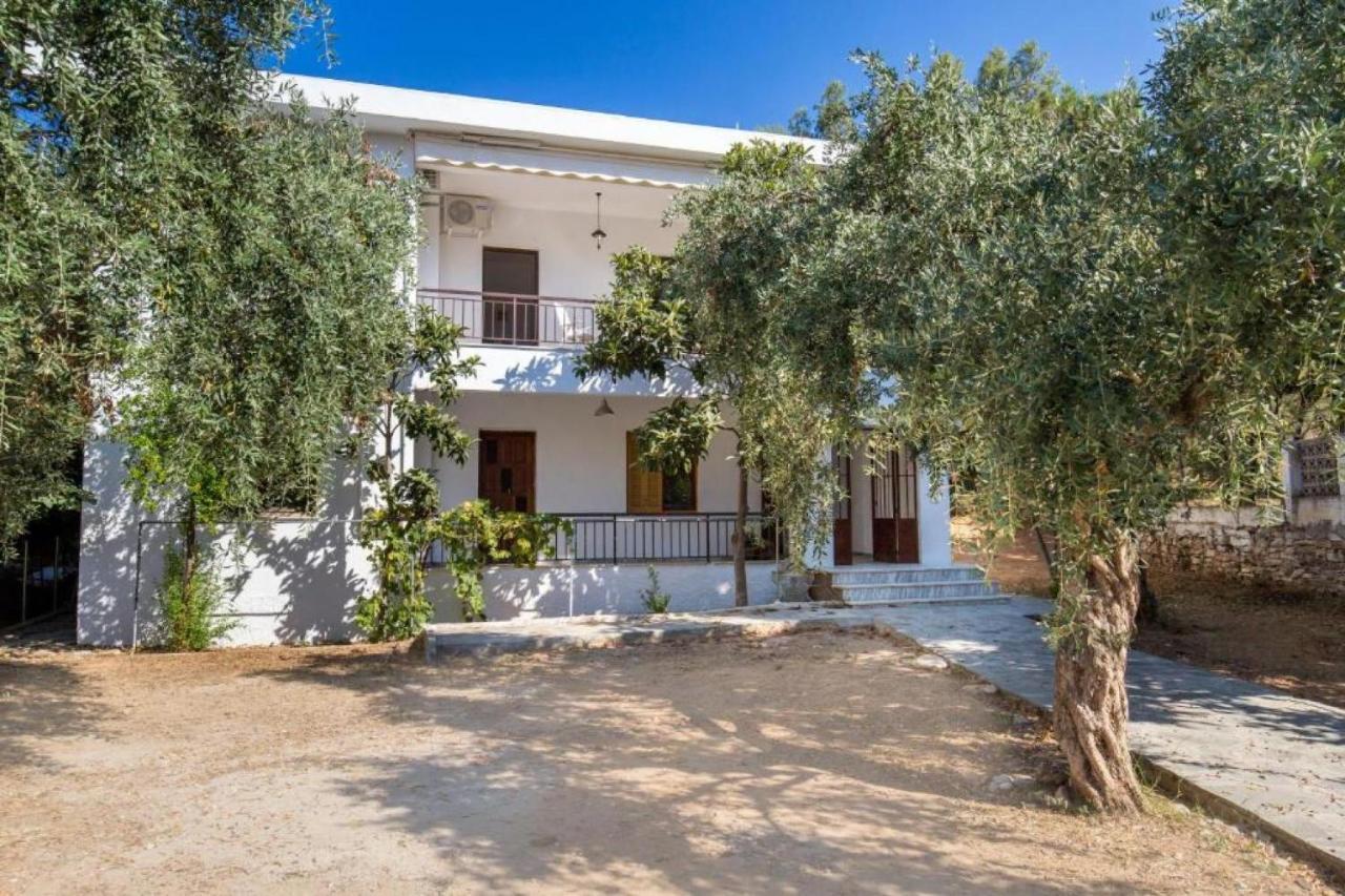 Xanthi'S Dream Place Ποτός Εξωτερικό φωτογραφία